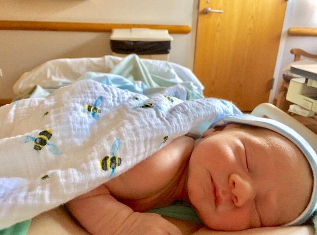 ORGANIC SWADDLE SET - BUSY BEES (Bee + Hive)-Everyone's Marketplace