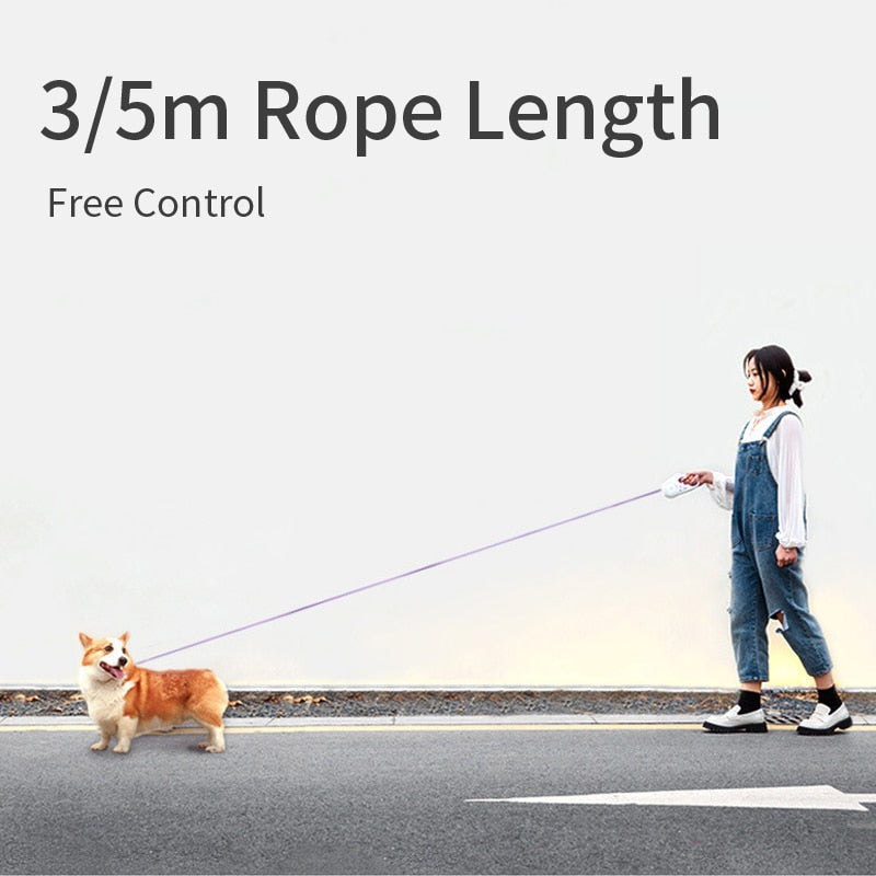 Automatic Retractable Lighting Dog Leash-Everyone's Marketplace