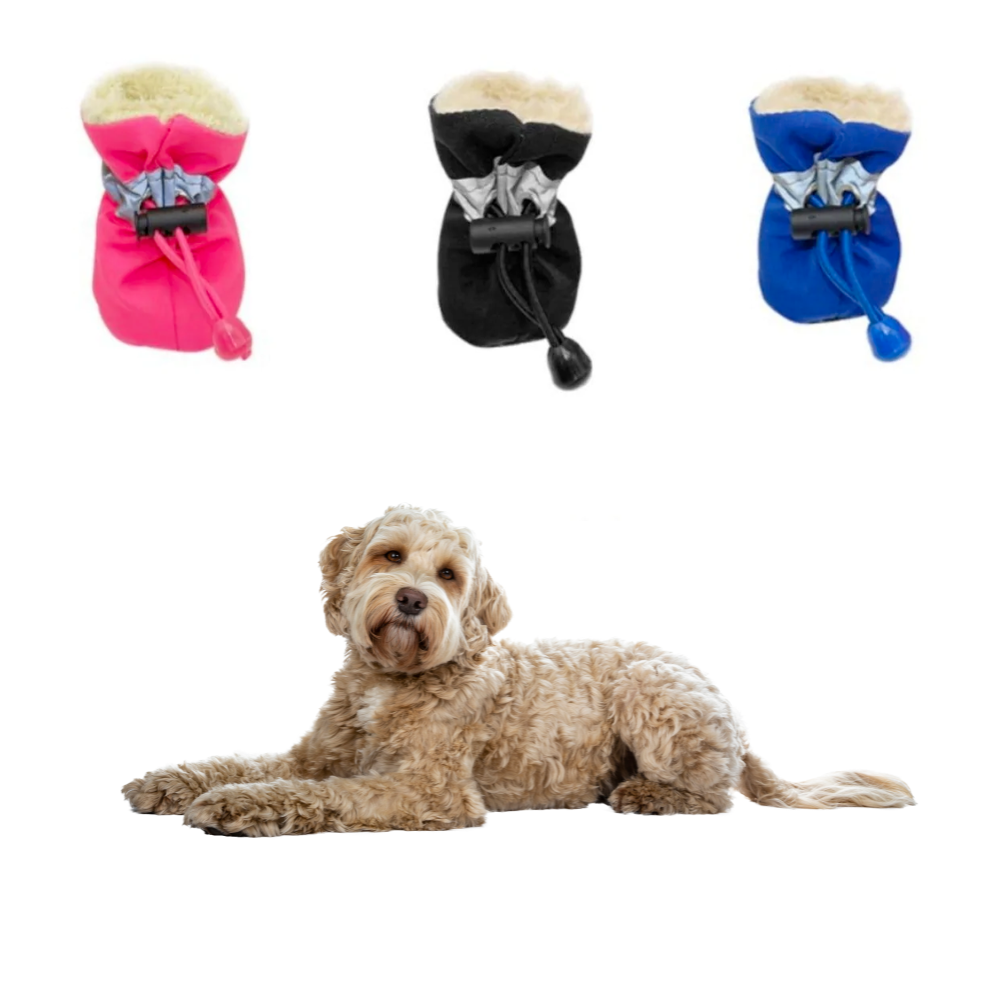 Dogs Winter Warm Shoes 4 PCS Set-Everyone's Marketplace