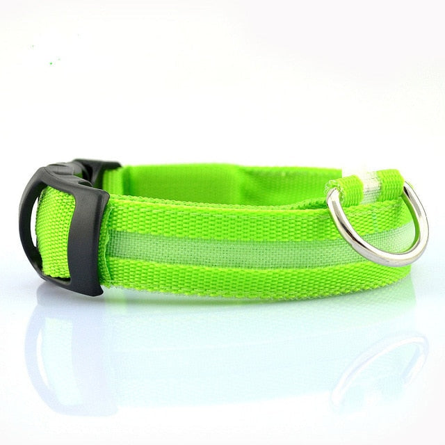 2 PCS Set Nylon LED Dog Collar-Everyone's Marketplace