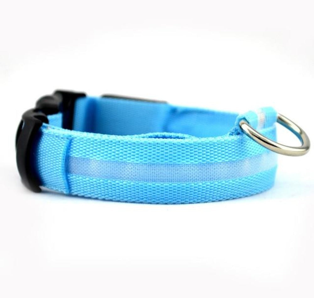 2 PCS Set Nylon LED Dog Collar-Everyone's Marketplace
