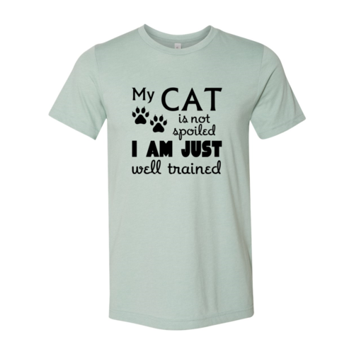 DT0175 My Cat Is Not Spoiled Shirt-Everyone's Marketplace
