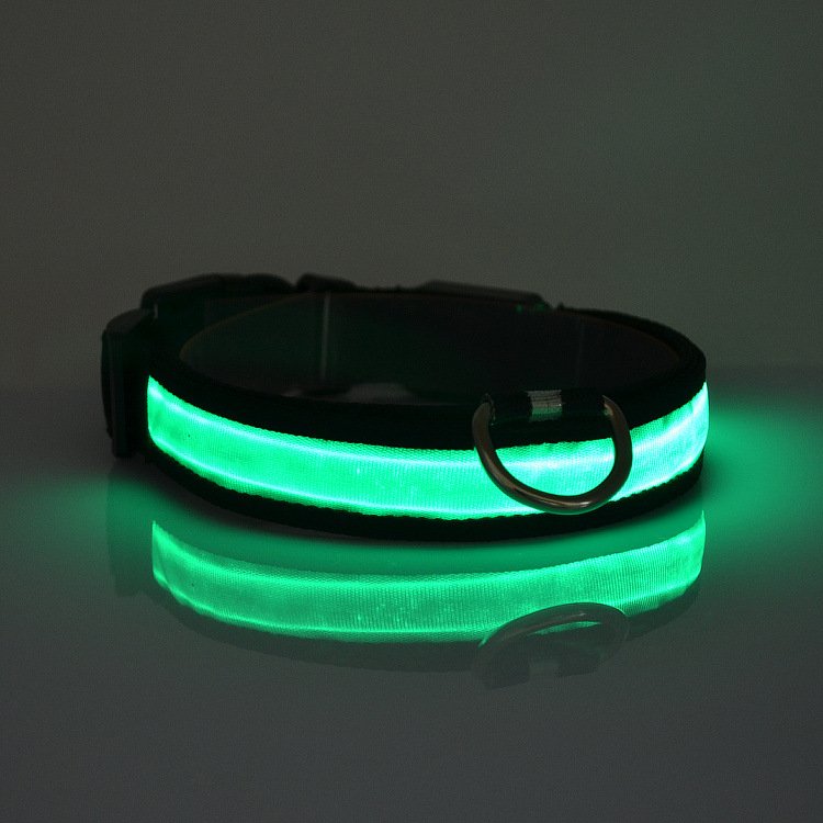 LED Light Up Dog Collar-Everyone's Marketplace