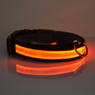 LED Light Up Dog Collar-Everyone's Marketplace