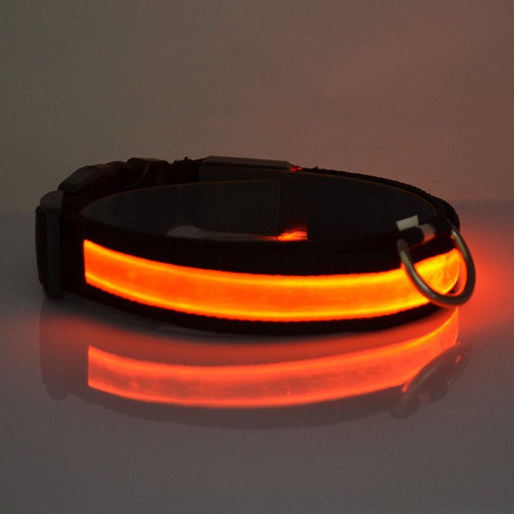 LED Light Up Dog Collar-Everyone's Marketplace