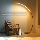 RGBW Modern Curve Floor Lamp | New Version-Everyone's Marketplace