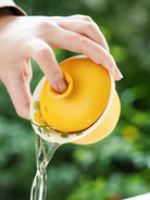 Imperial Blossom Aroma-Concentrating Gaiwan – Heritage Series-Everyone's Marketplace