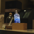 EP LIGHT - 3-Pack LED Bulbs-Everyone's Marketplace