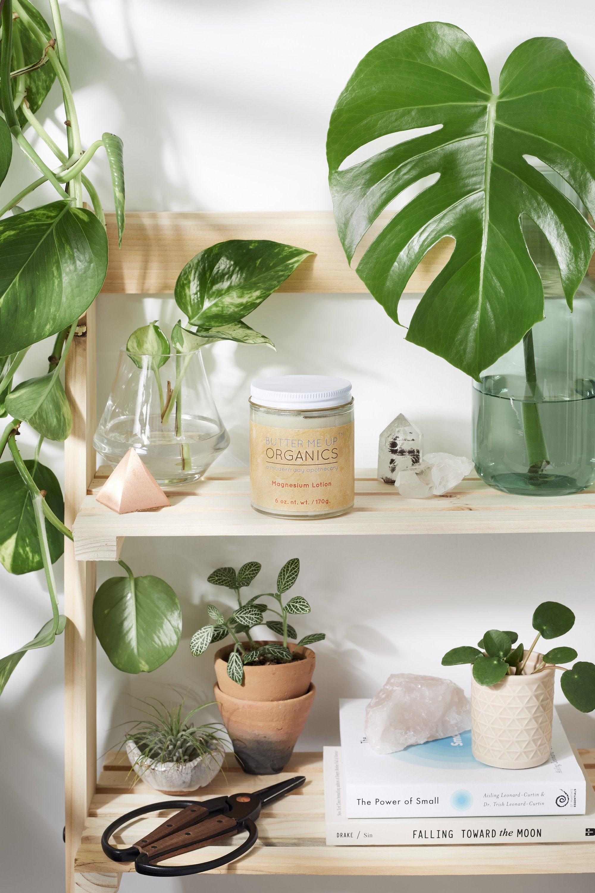 Organic Magnesium Lotion / Magnesium / Magnesium Cream / Magnesium-Everyone's Marketplace