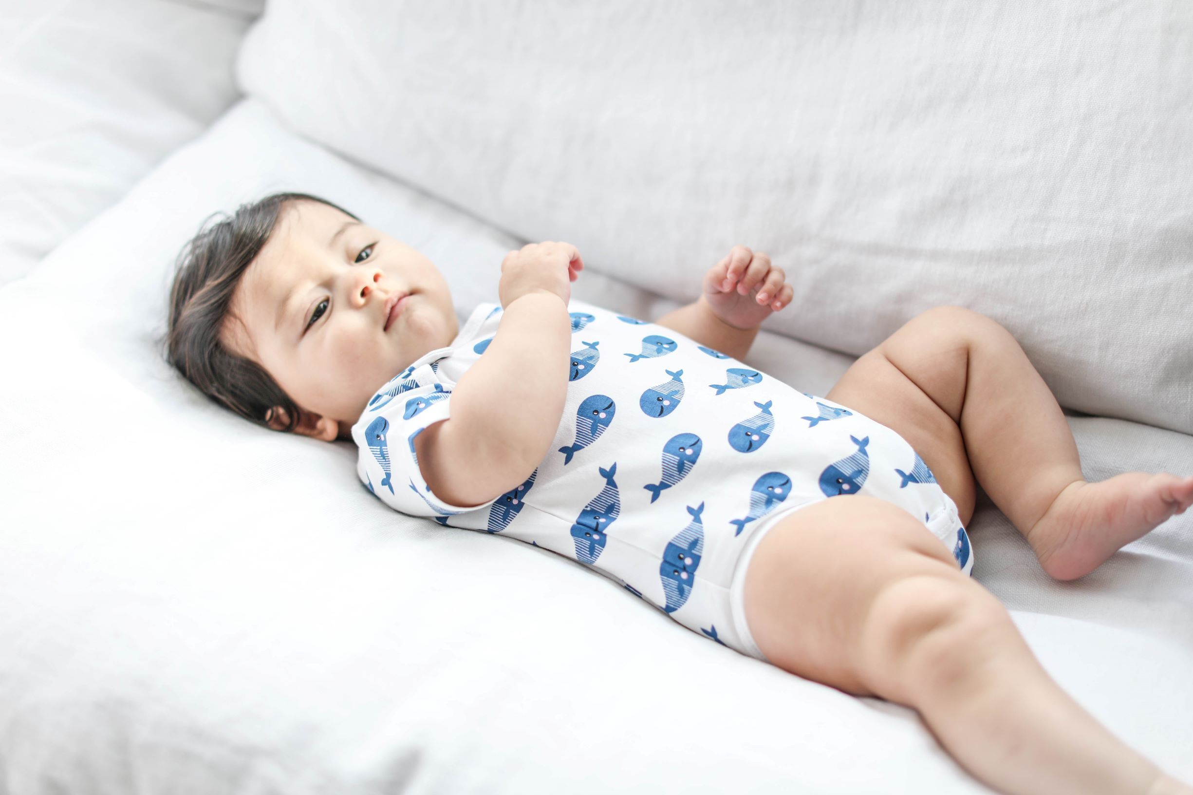 Smart Short Sleeve Baby Bodysuit + Bib - Blue Whale-Everyone's Marketplace