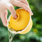 Imperial Blossom Aroma-Concentrating Gaiwan – Heritage Series-Everyone's Marketplace