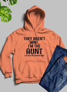 They Aren't Mine I'm The Aunt Hoodie-Everyone's Marketplace