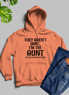 They Aren't Mine I'm The Aunt Hoodie-Everyone's Marketplace