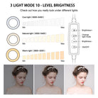 6" 4 in 1 Desktop Clip Light Set Selfie Ring Light-Everyone's Marketplace