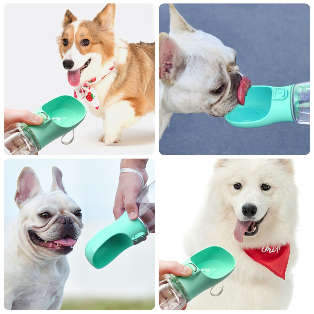 Outdoor Pet Dog Feeder Bowls Cats Dogs Travel Water Dispenser Feeder-Everyone's Marketplace