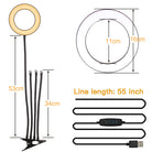 6" 4 in 1 Desktop Clip Light Set Selfie Ring Light-Everyone's Marketplace