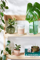 Detox bath epsom salt clay essential oil soak-Everyone's Marketplace