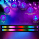 Dragon Sound Reactive Music Light Bar 2 pcs pack-Everyone's Marketplace