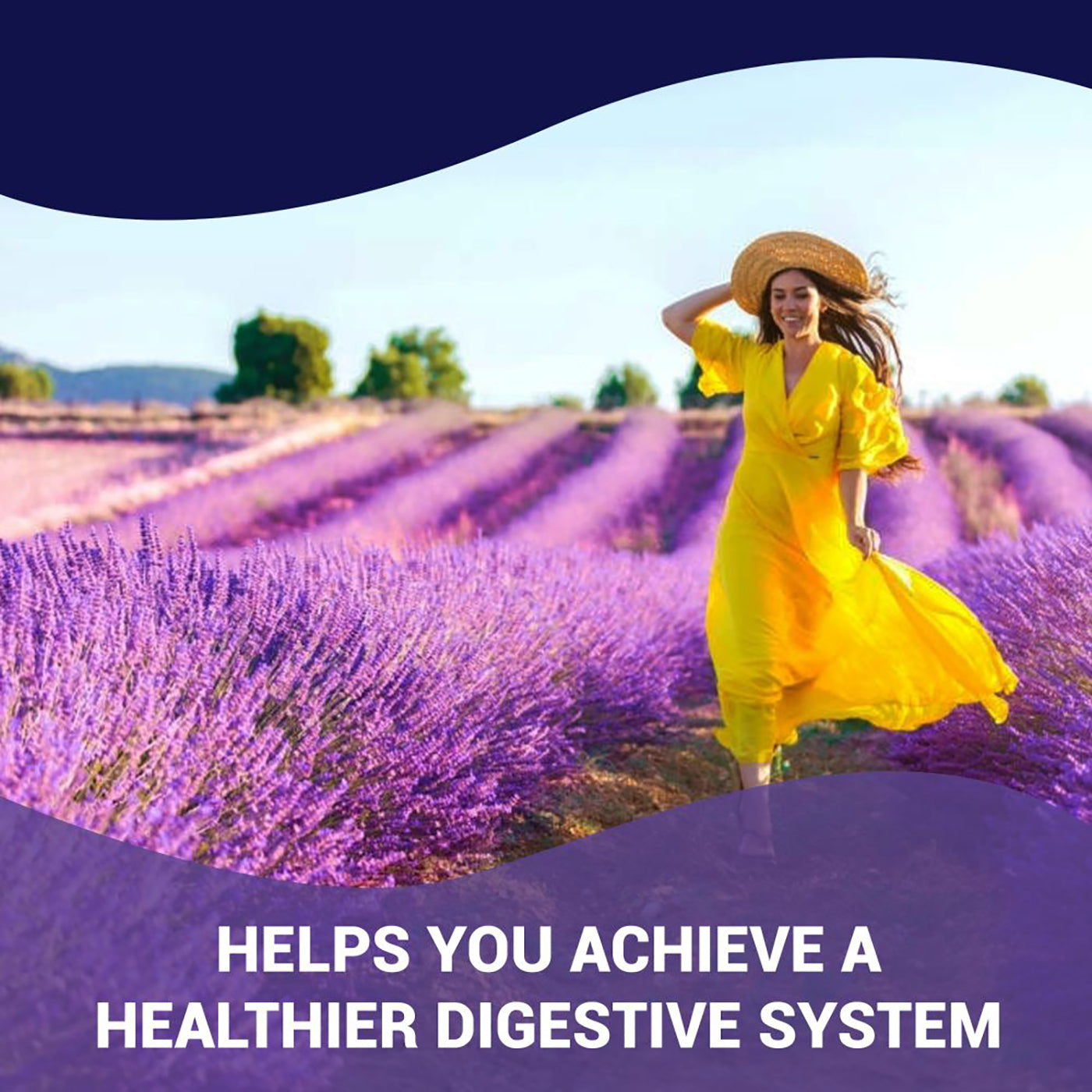 Luma Gut Plus - Probiotics for Men and Women for Stomach Acid-Everyone's Marketplace