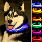 2 PCS Set Nylon LED Dog Collar-Everyone's Marketplace