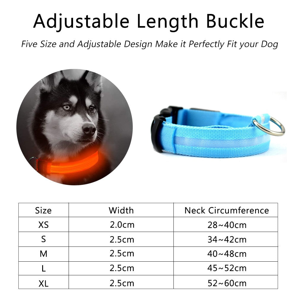 2 PCS Set Nylon LED Dog Collar-Everyone's Marketplace